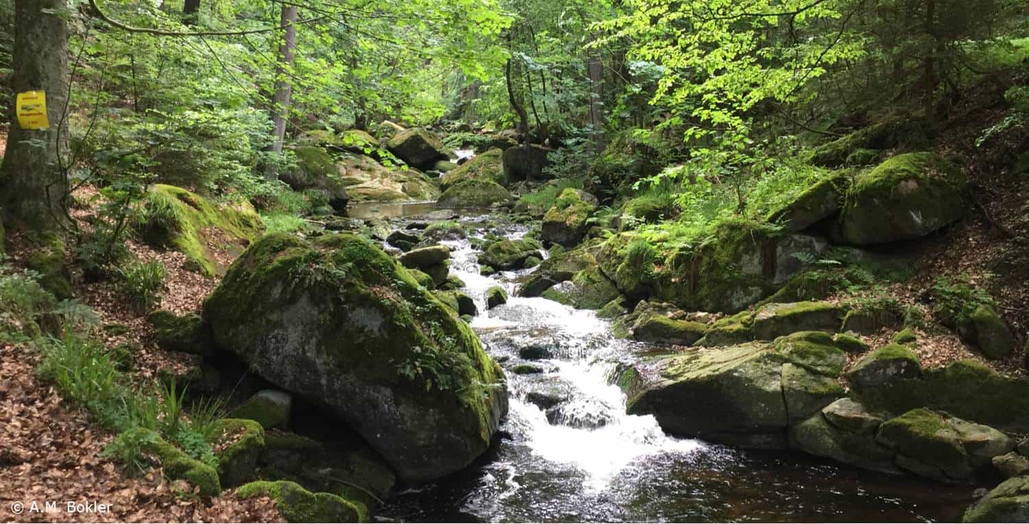 Warum das Wandern glücklich machen kann – Ein Impuls meiner Wanderfreundin Sabine Holicki