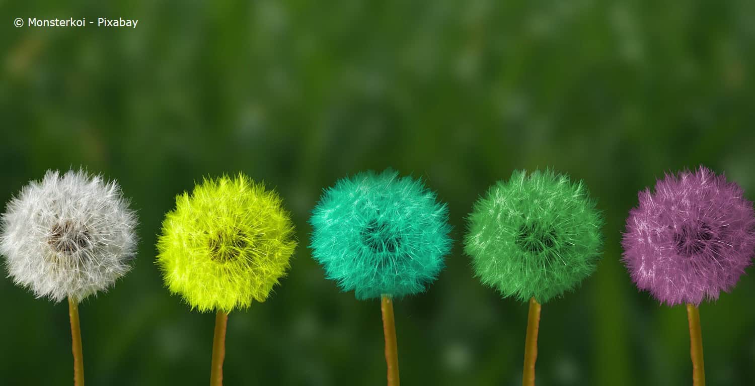 Mit Achtsamkeit durch die Transformation