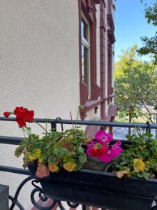 Blumen auf dem Balkon