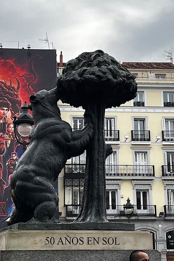 Bär an der Plaza del Sol